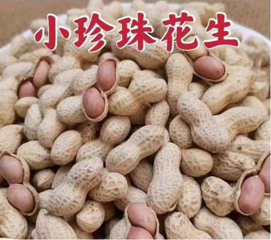 宾滋郎原味珍珠花生500克