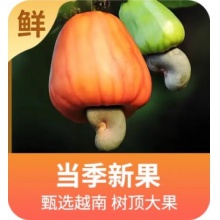 优选带皮腰果250克