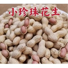 宾滋郎原味珍珠花生500克